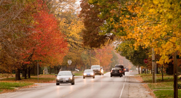 2014: Fall Colors